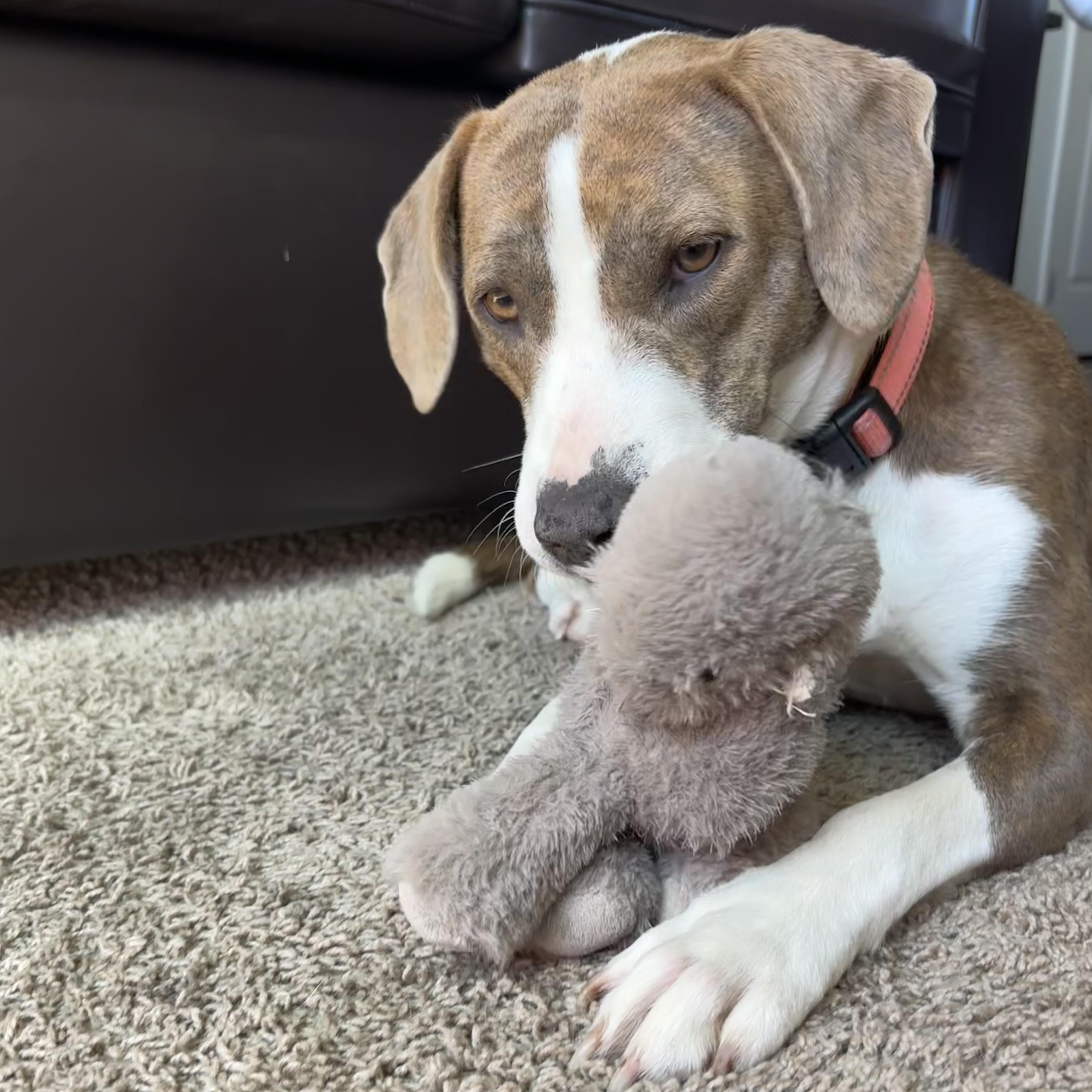 Olympic Torch — thumbnail 5