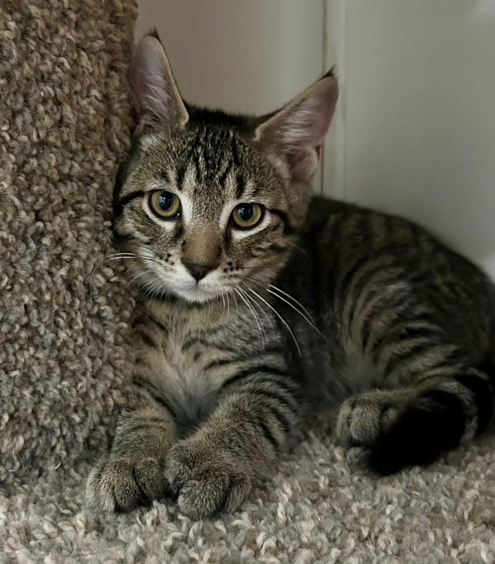 Pete
