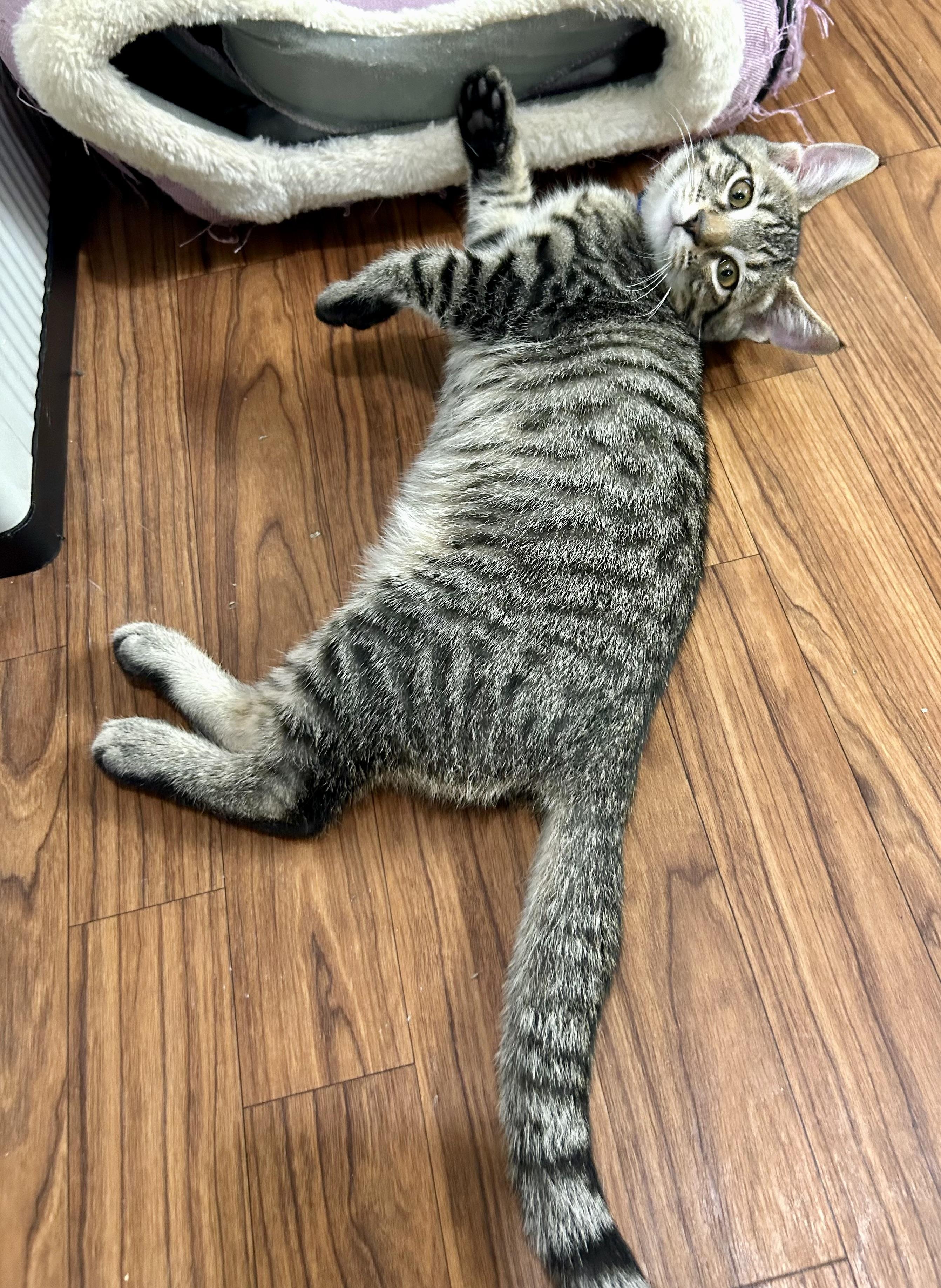 Pete