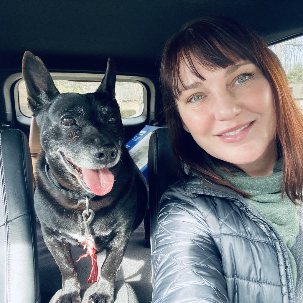 Enlarge Bubba, a Adoptable mixed breed in Fairfax, VA image 2/6