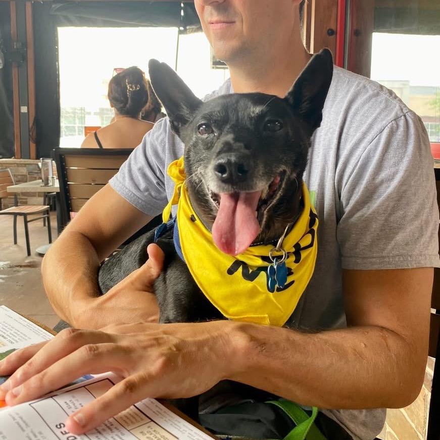 Enlarge Bubba, a Adoptable mixed breed in Fairfax, VA image 5/6