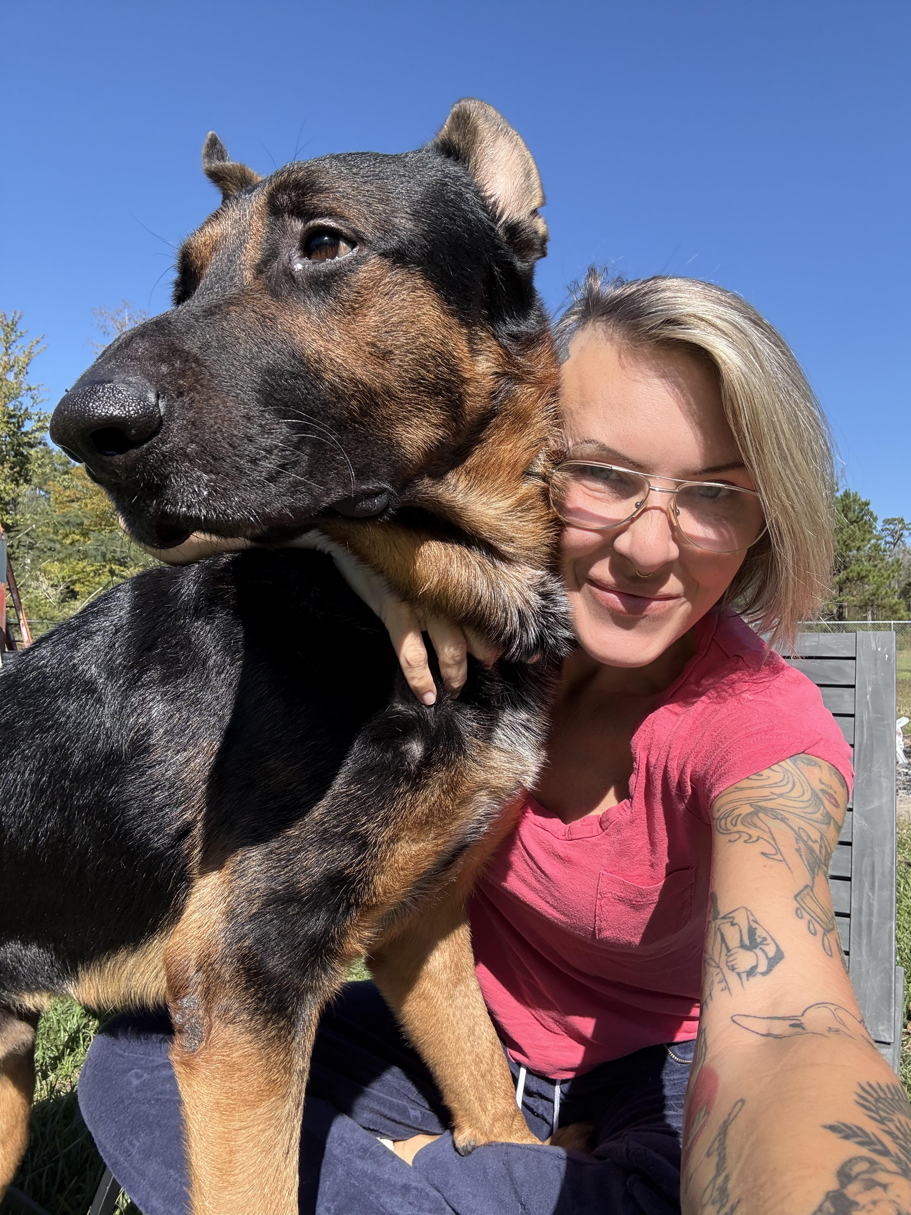 Enlarge Zeus, a Adoptable German Shepherd Dog in New Orleans, LA image 5/5