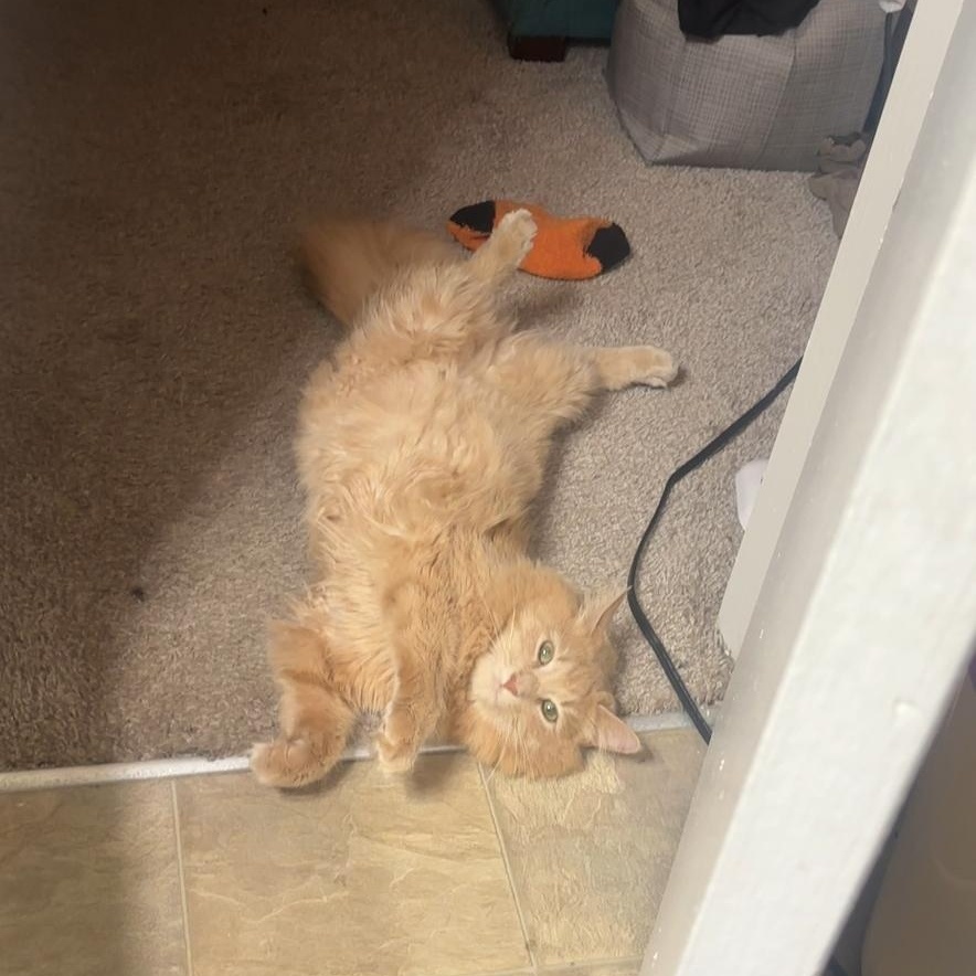 Juice Box Shakur — thumbnail 2