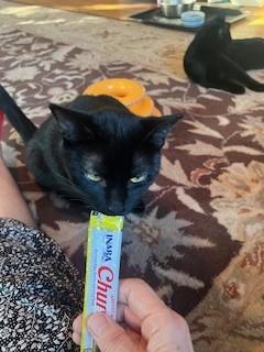 Velvet — thumbnail 5