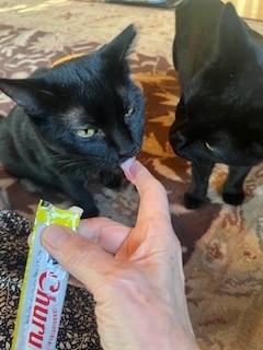 Velvet — thumbnail 6