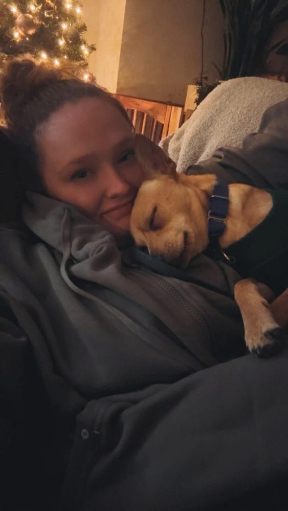 Enlarge Lays, a Adoptable mixed breed in Saugus, MA image 3/6