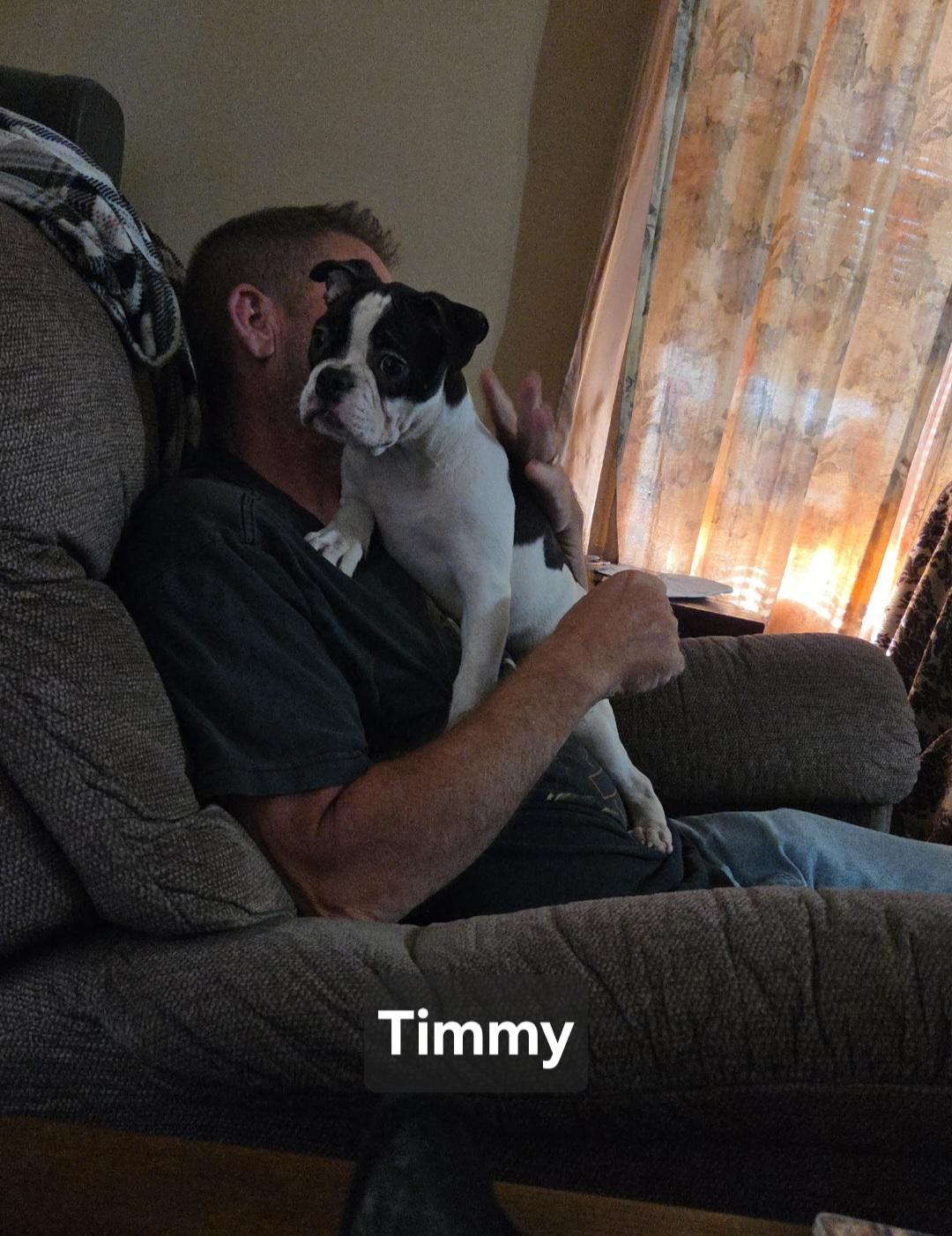 Enlarge Timmy, a Adopted mixed breed in Wever, IA image 6/6