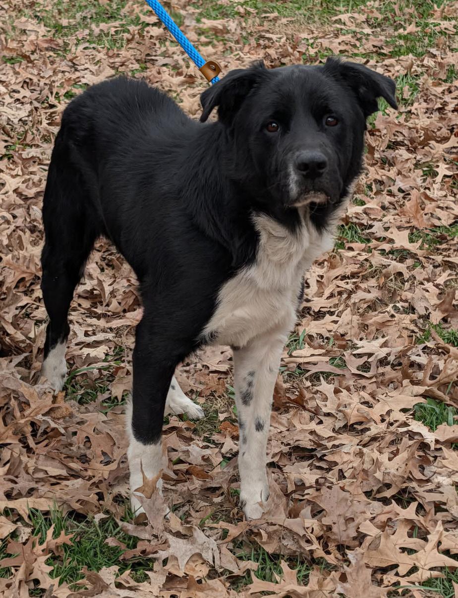 Oliver (Photos 11/14/2025)