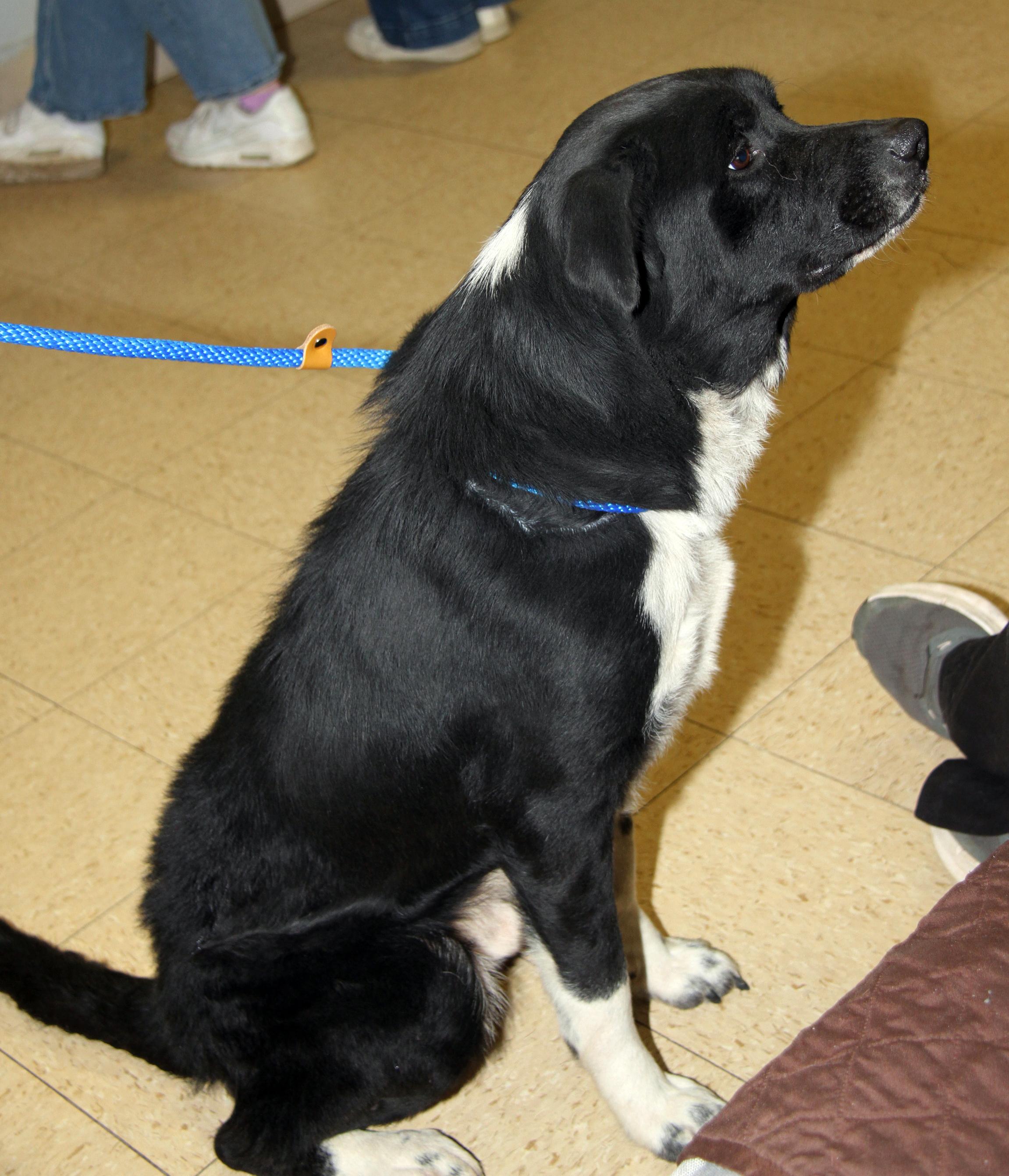 Oliver (Photos 11/14/2025)