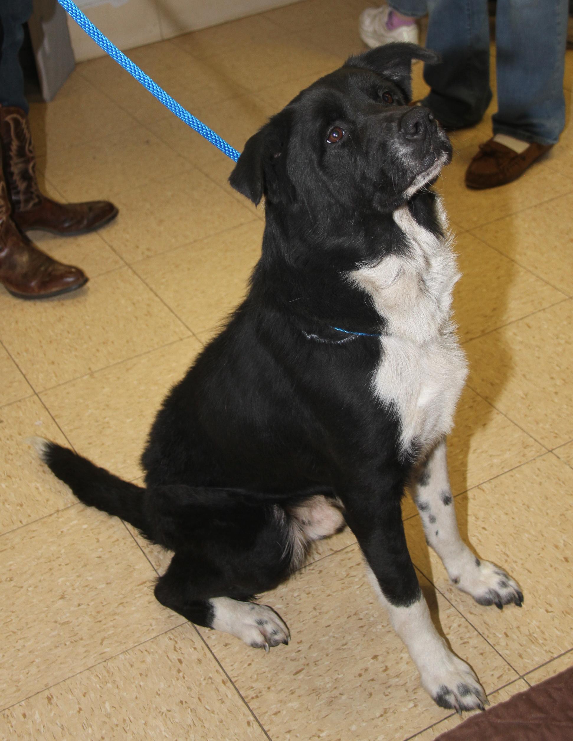 Oliver (Photos 11/14/2025)