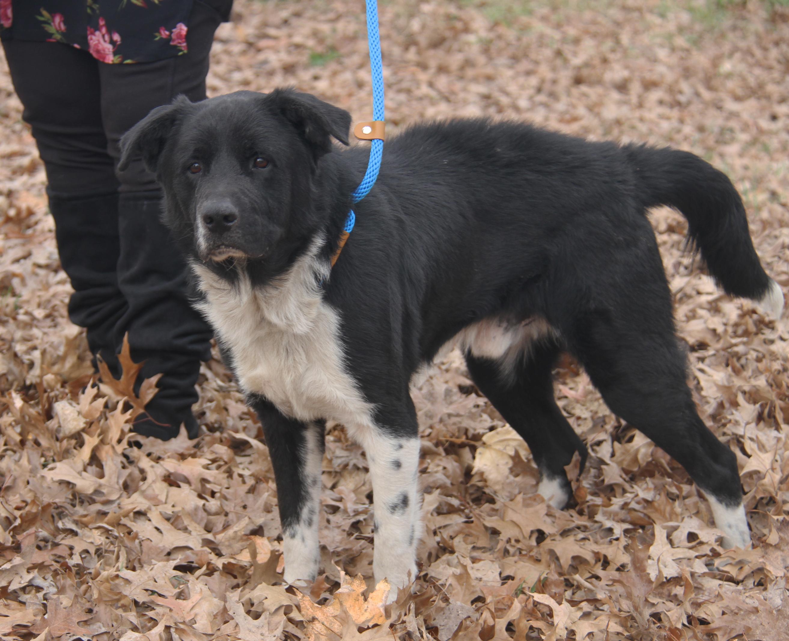 Oliver (Photos 11/14/2025)