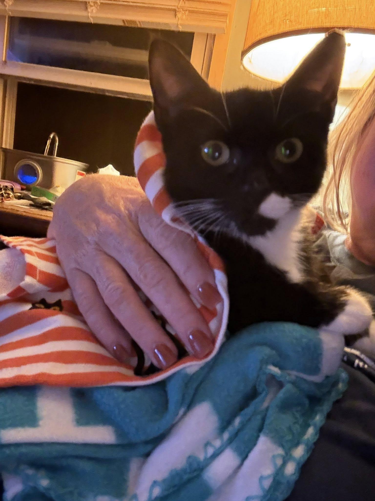 Penny (shy 5 month old, but sweet!)