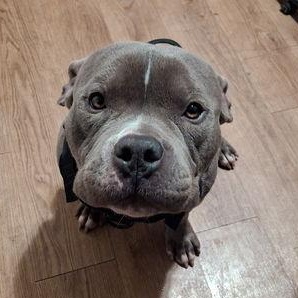 Kilo photo 2