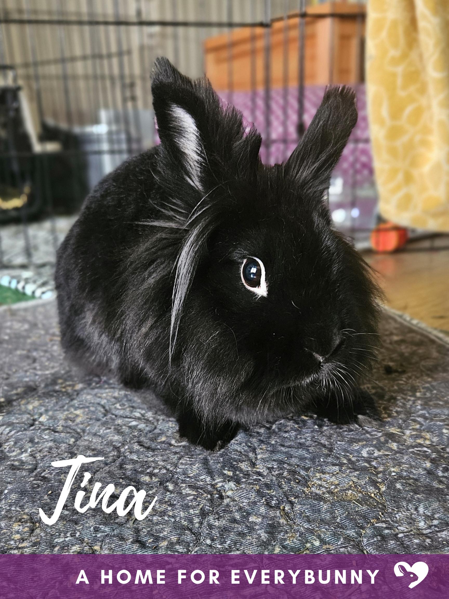 Tina