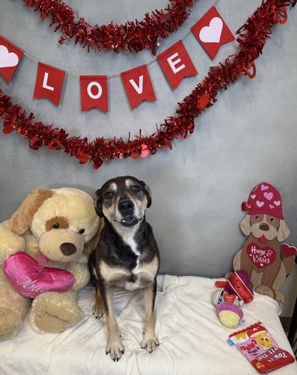 Daisy — thumbnail 4