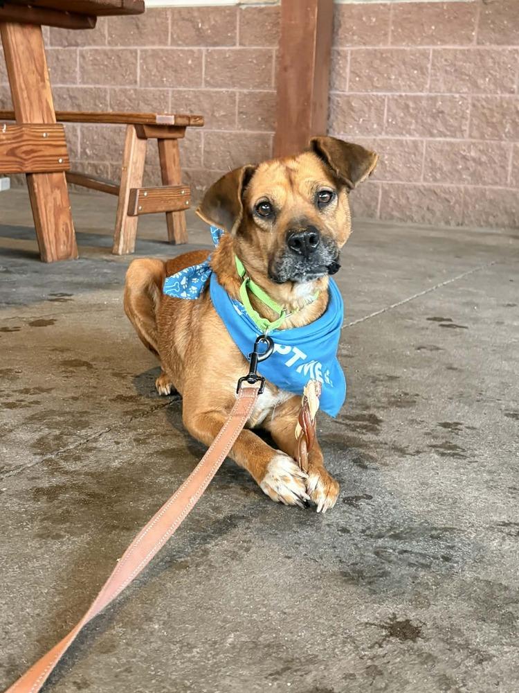 Hana — thumbnail 2