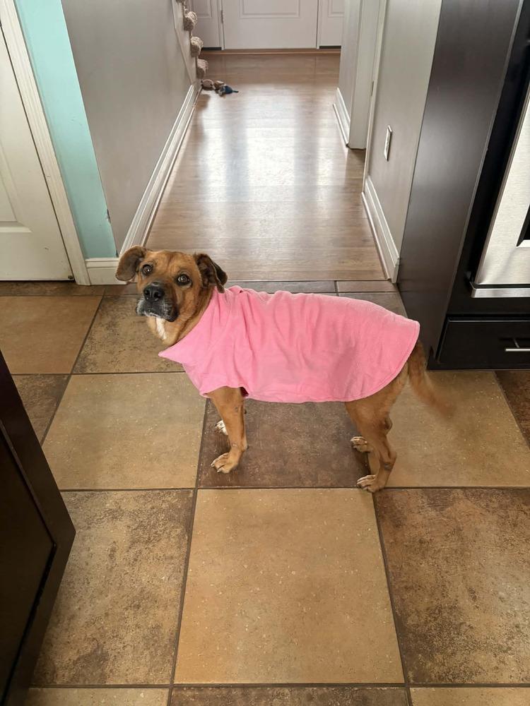 Hana — thumbnail 3