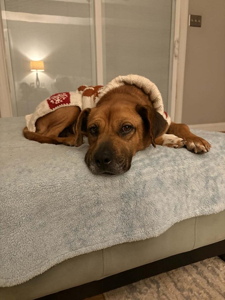 Hana — thumbnail 4