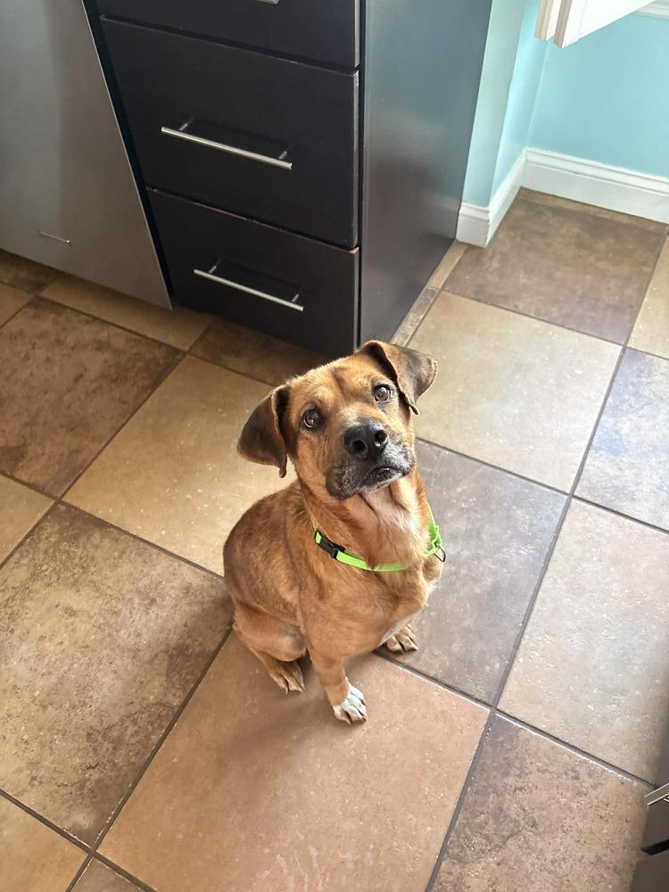 Hana — thumbnail 5