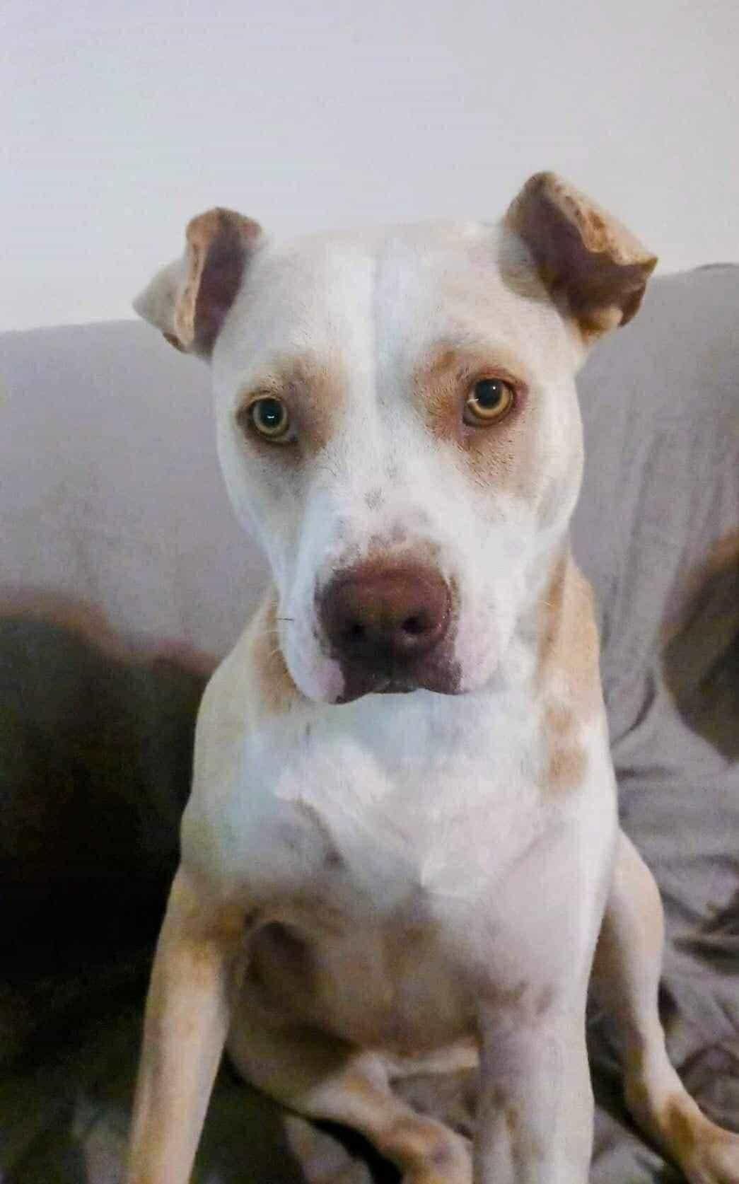 Skye (20240609-02) — thumbnail 4