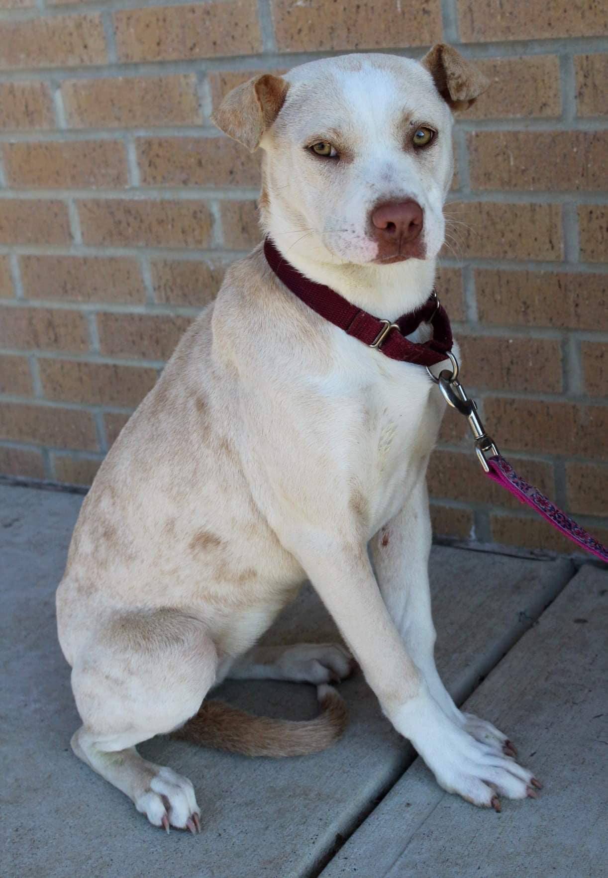 Skye (20240609-02) — thumbnail 5