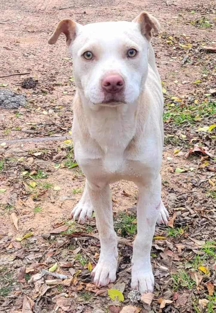 Skye (20240609-02) — thumbnail 6