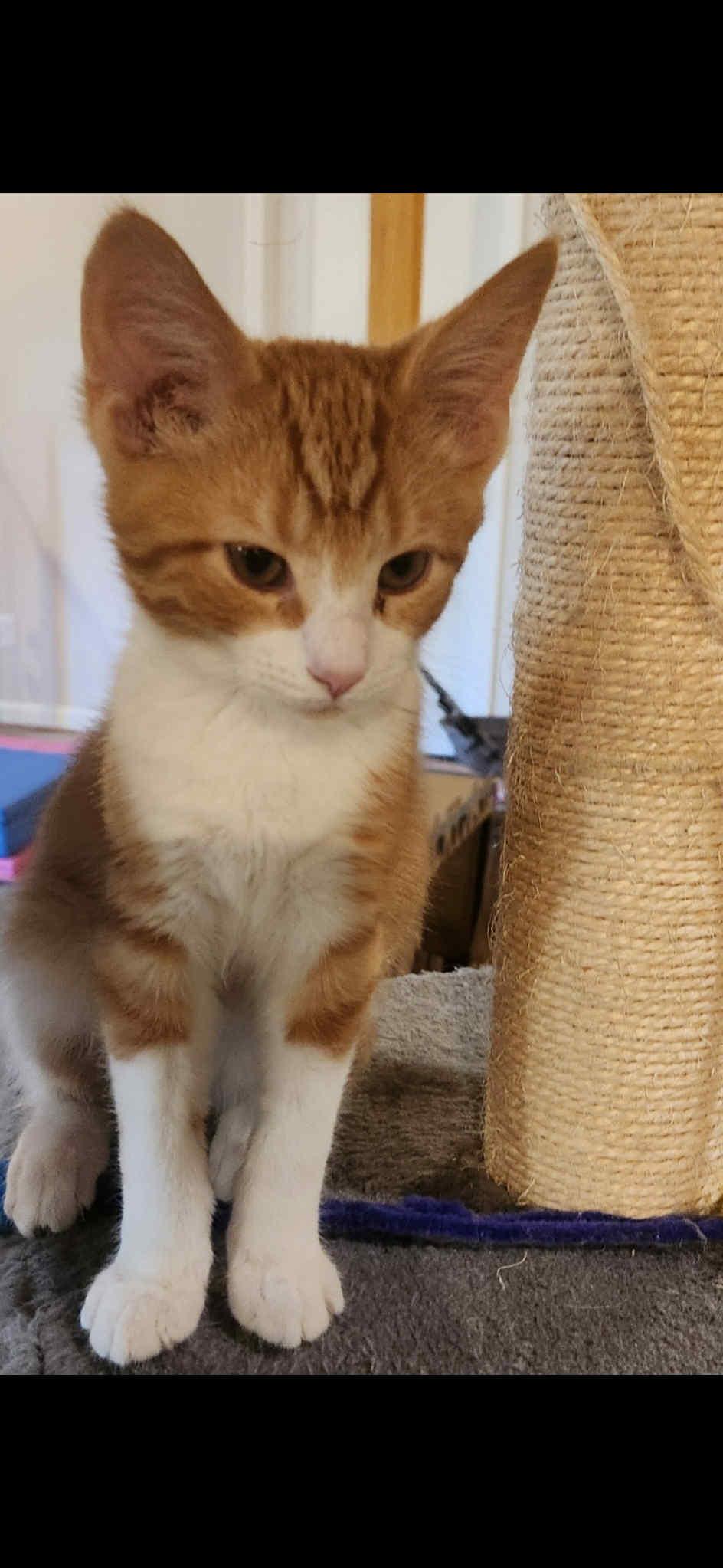 Charlie