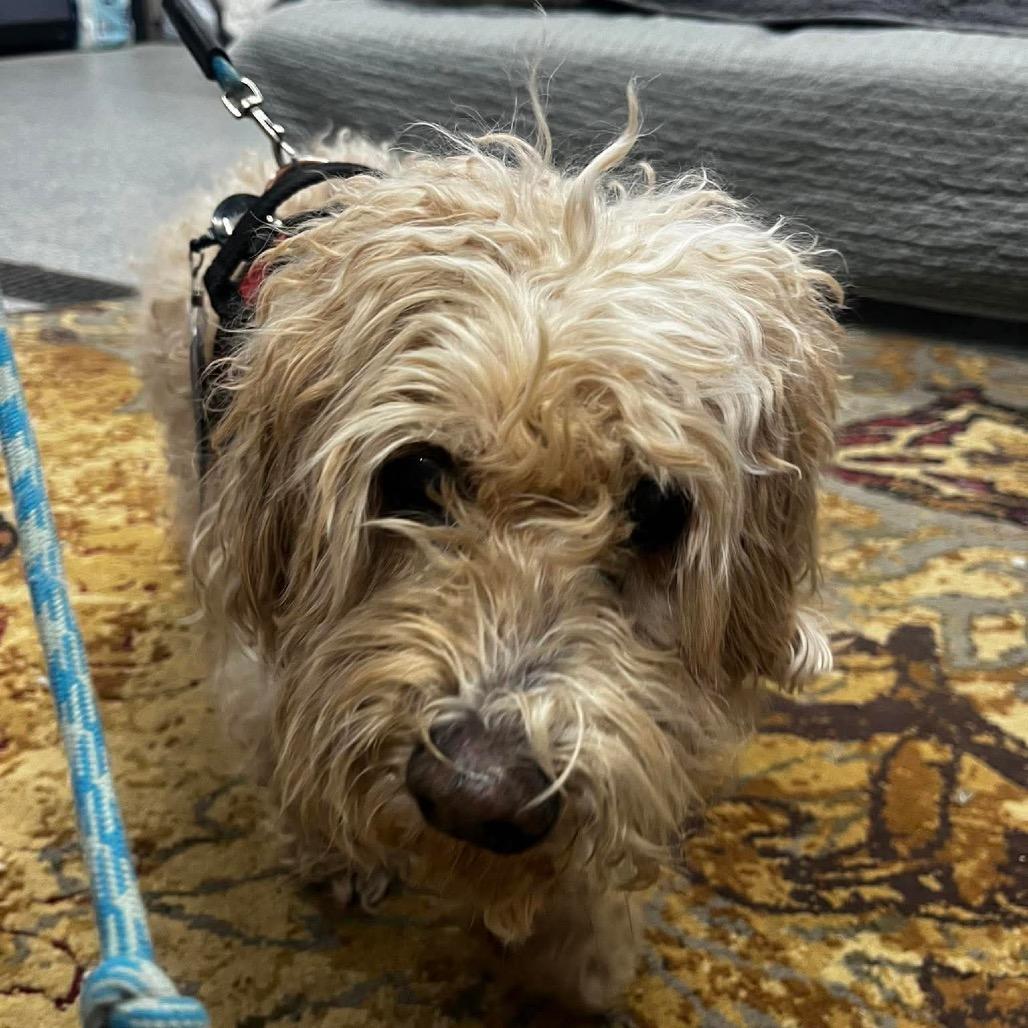 Hudson — thumbnail 2