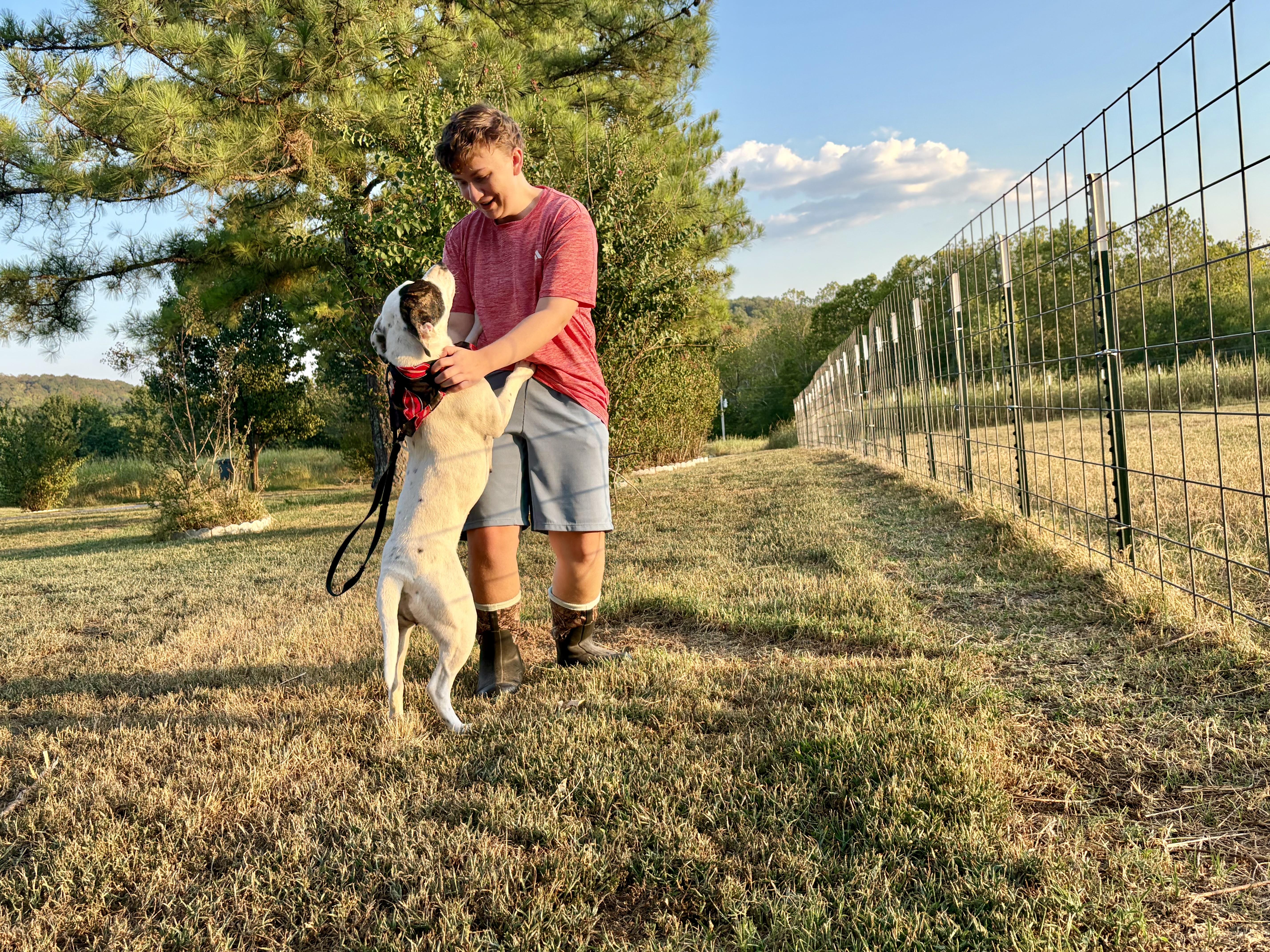 Enlarge Whitney, a Adoptable mixed breed in Welling, OK image 5/5