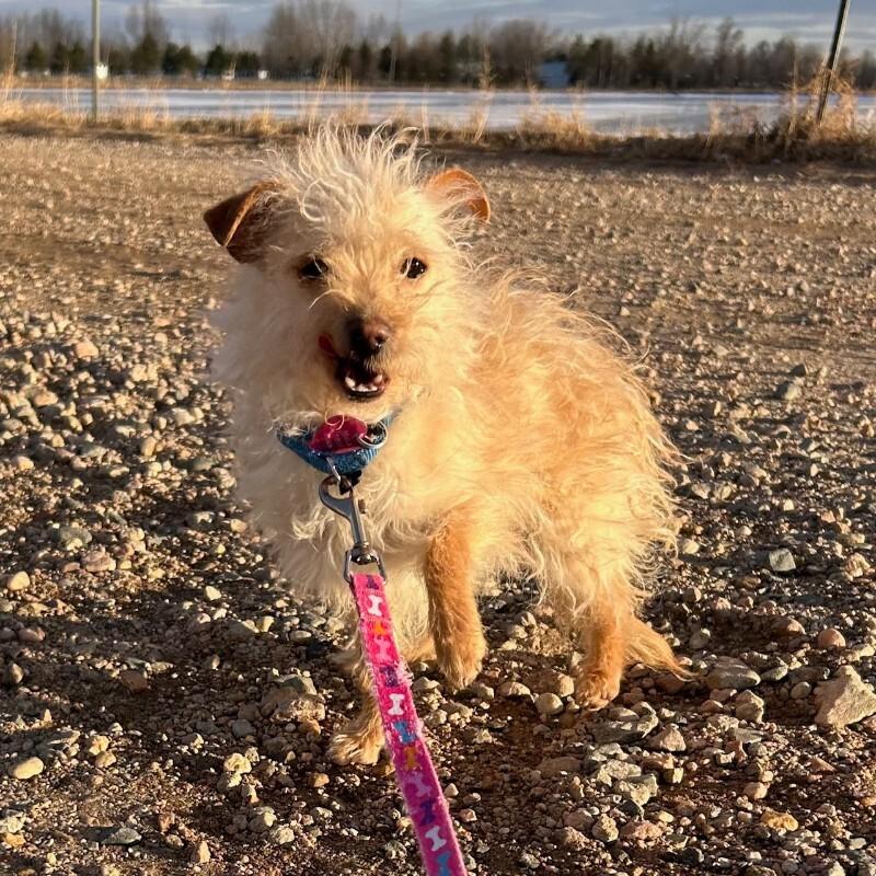 Suzie Toot thumbnail 4