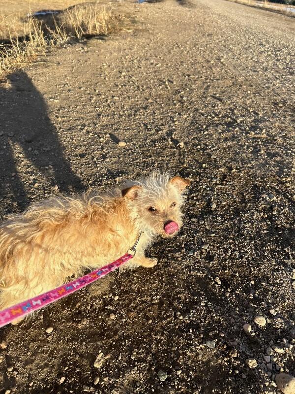 Suzie Toot thumbnail 5