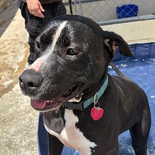 Grace Kelly — thumbnail 4