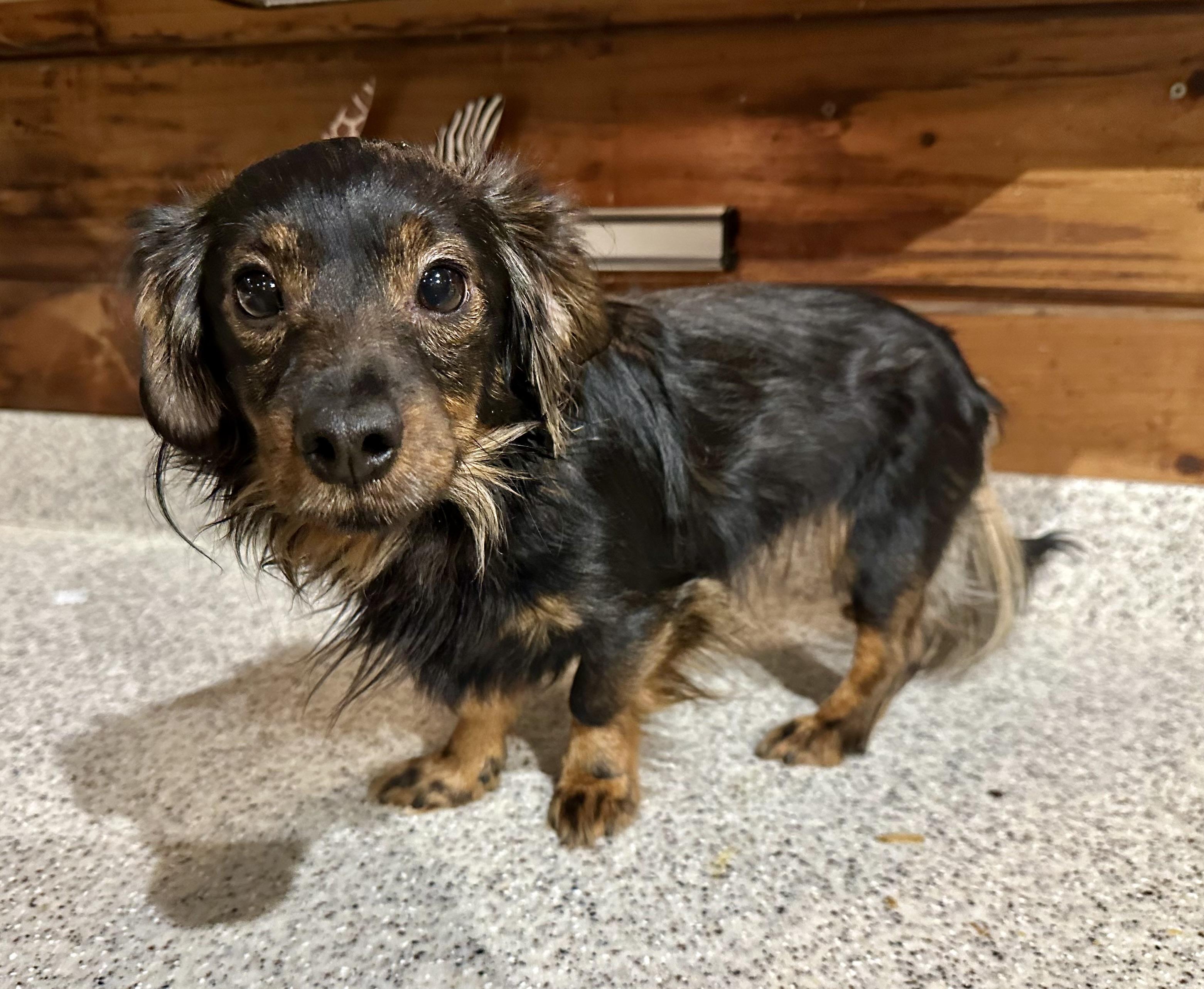 Kappa Dappa Doo!!! thumbnail 4