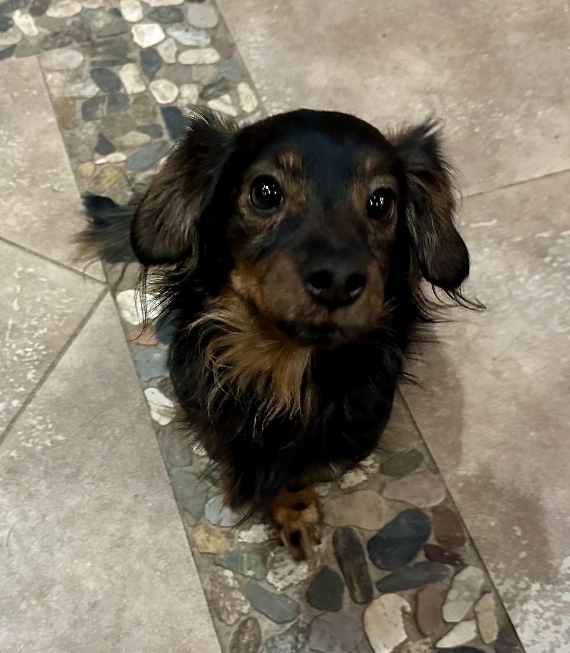 Kappa Dappa Doo!!! thumbnail 2