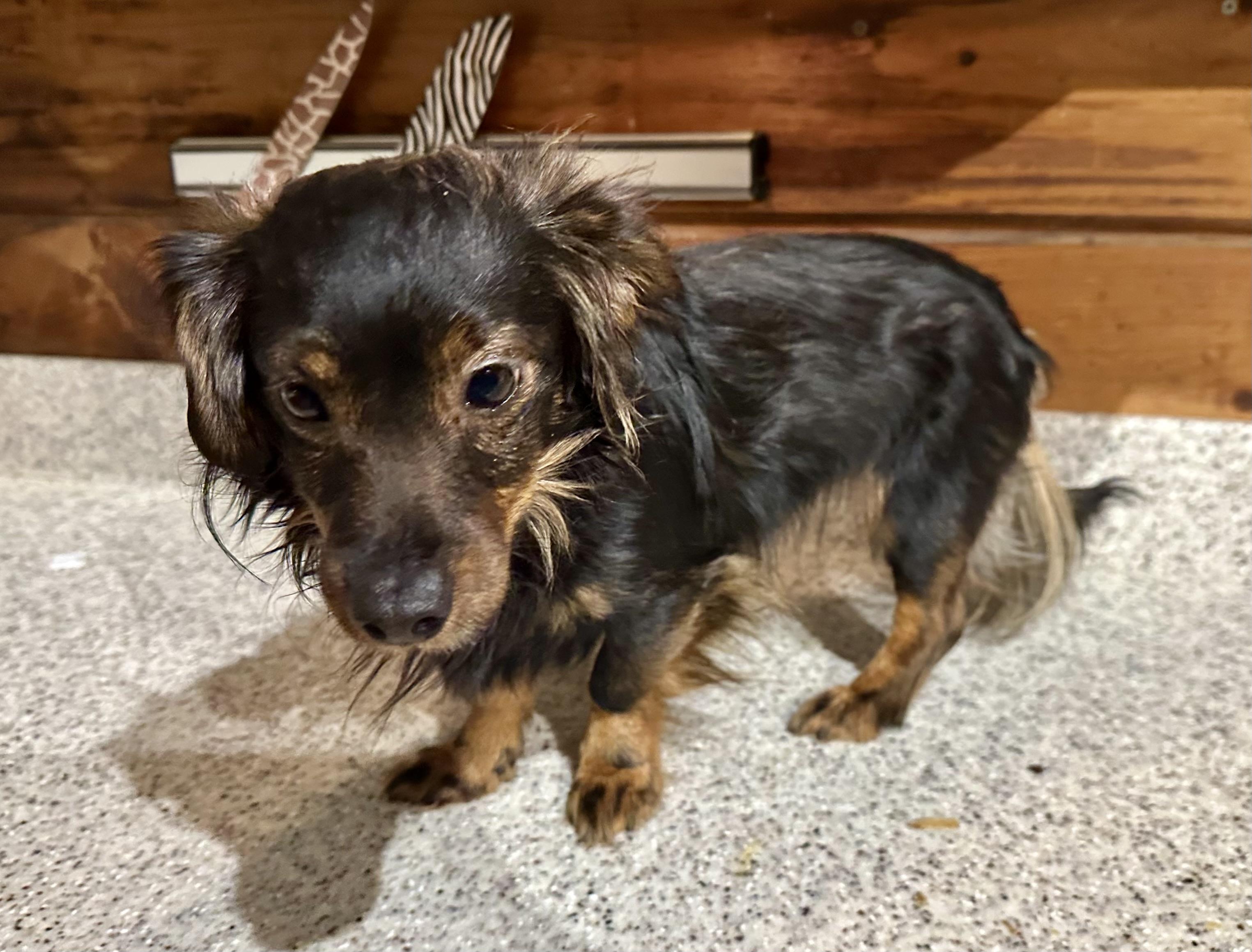 Kappa Dappa Doo!!! thumbnail 3