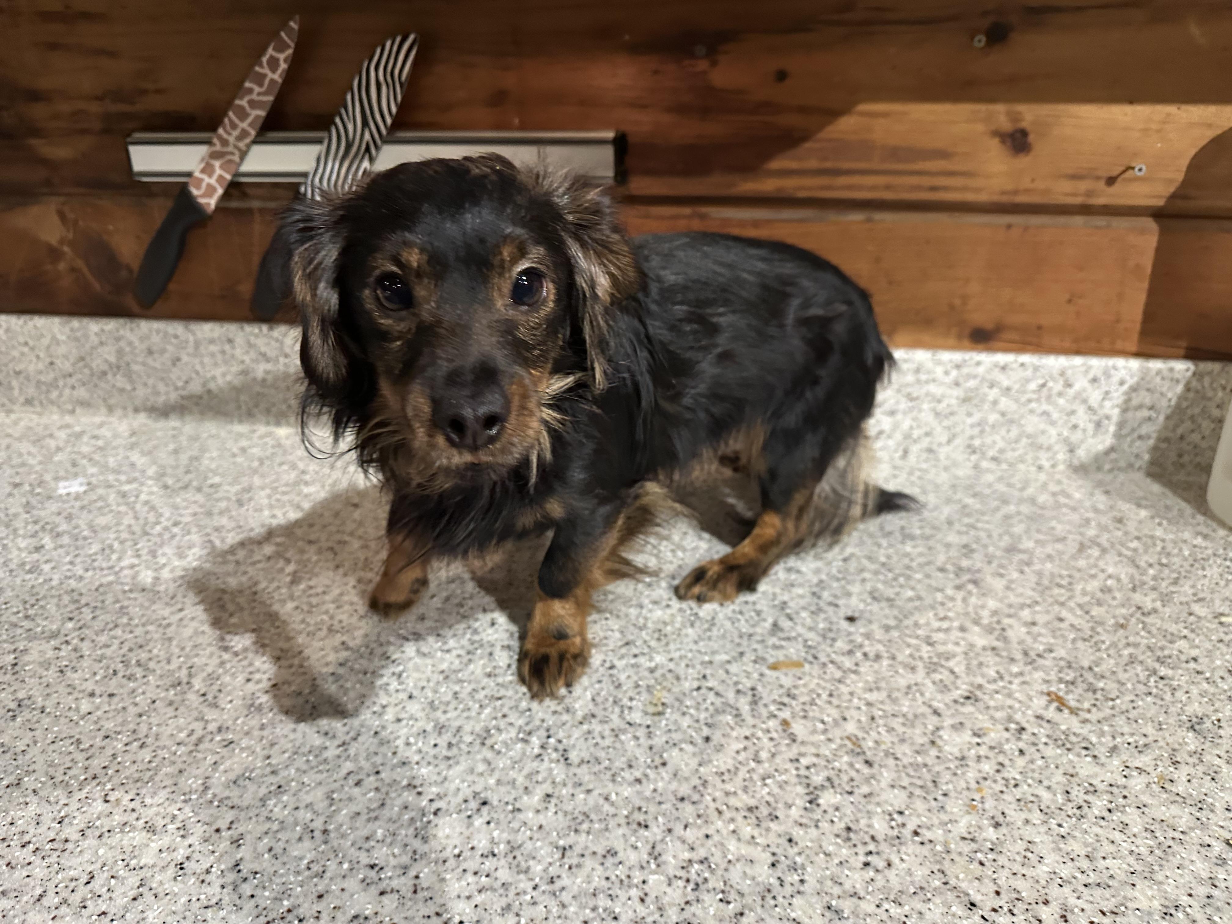 Kappa Dappa Doo!!! thumbnail 5