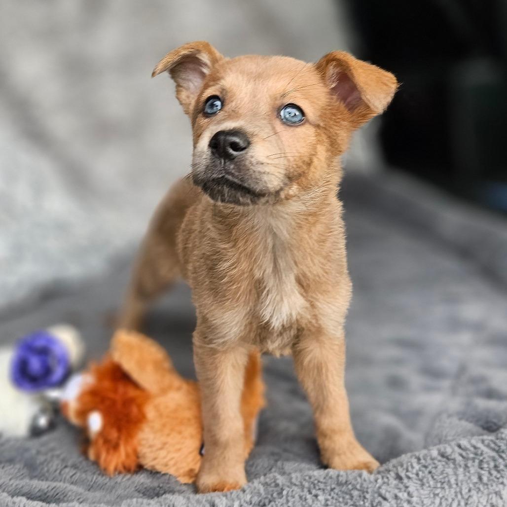 Justin — thumbnail 3