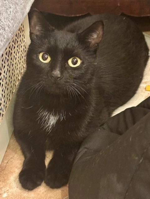 Dorrie And Wednesday thumbnail 2