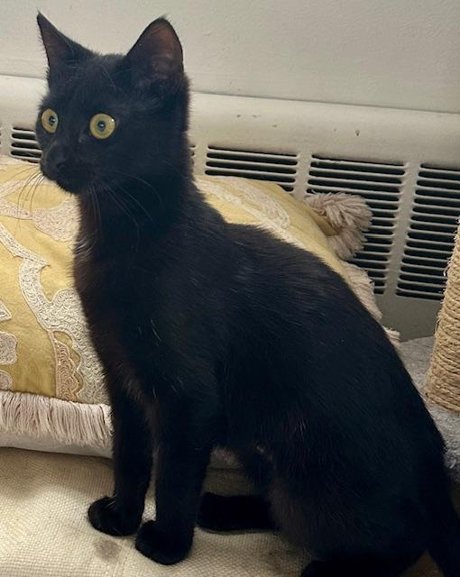 Dorrie And Wednesday thumbnail 3