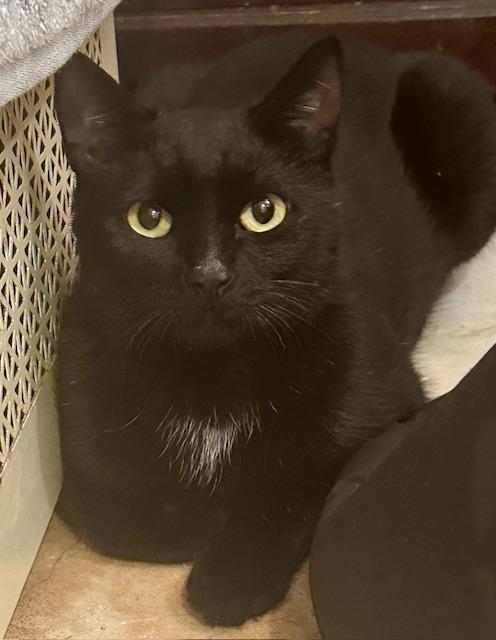 Dorrie And Wednesday thumbnail 6