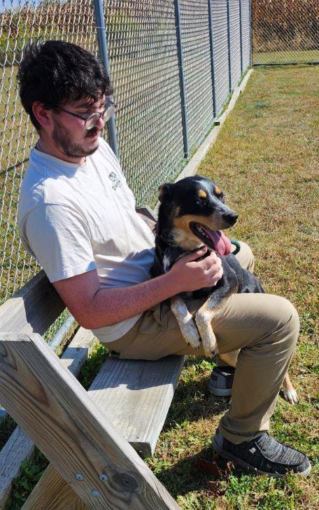 Kelsey, a Adoptable mixed breed in Belvidere, IL image 3/4