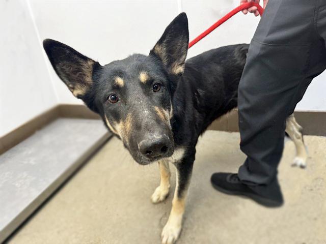 PURAH* — thumbnail 2