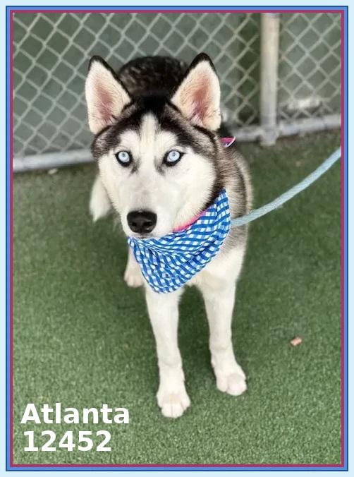 ATLANTA