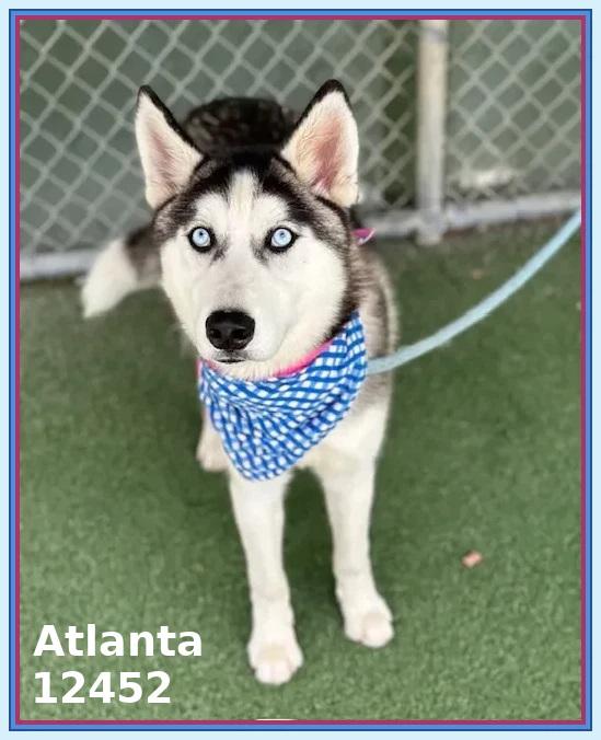 ATLANTA