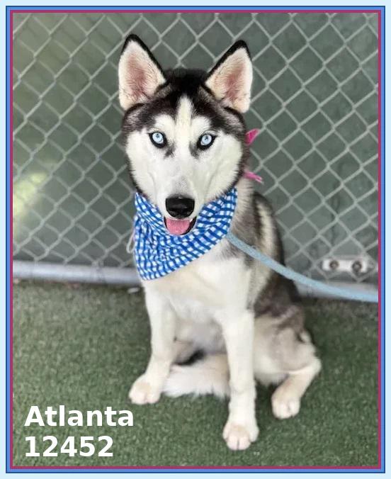 ATLANTA