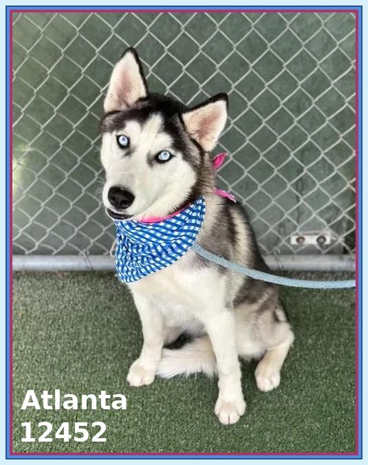 ATLANTA