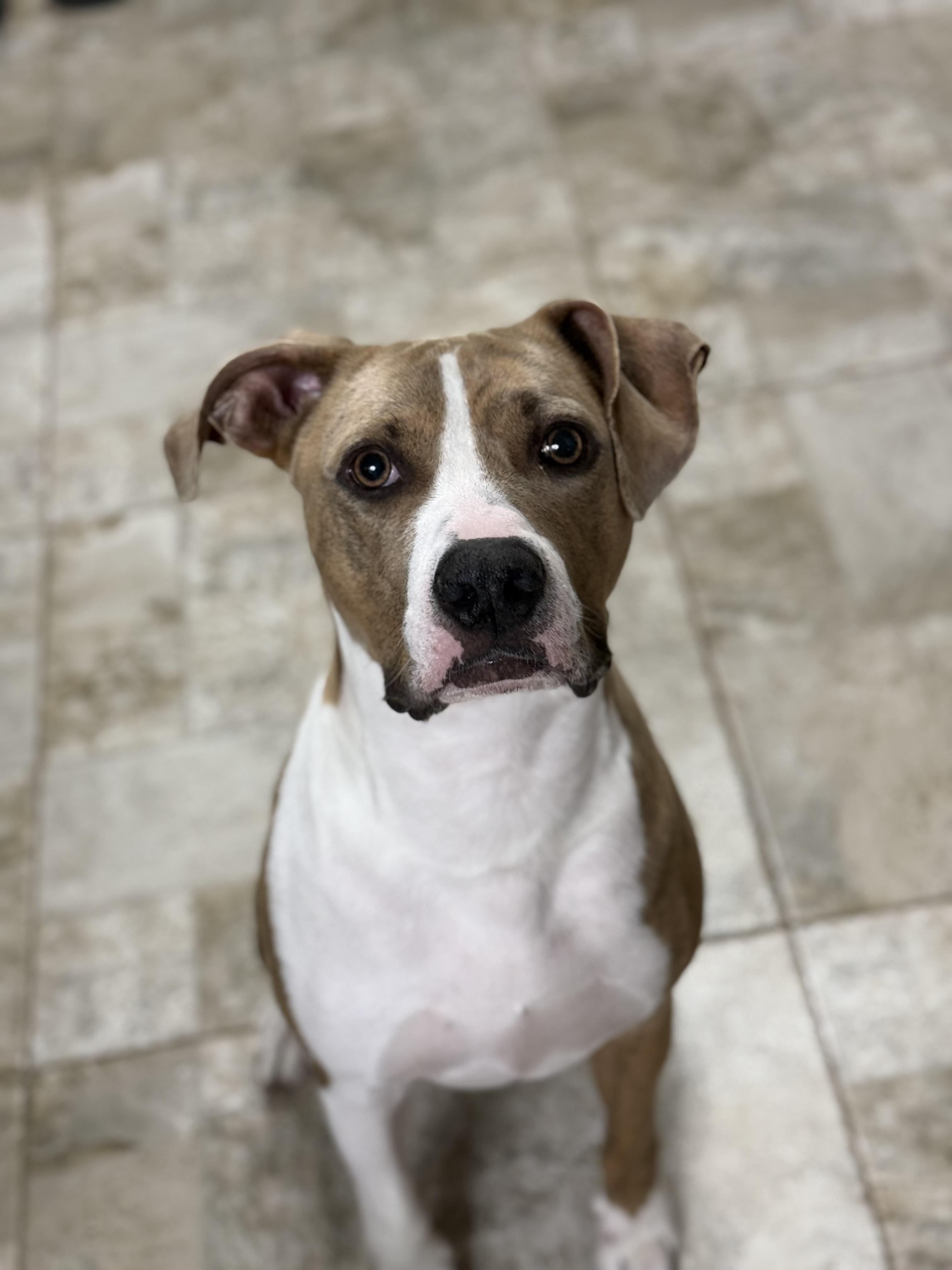Benny photo 2