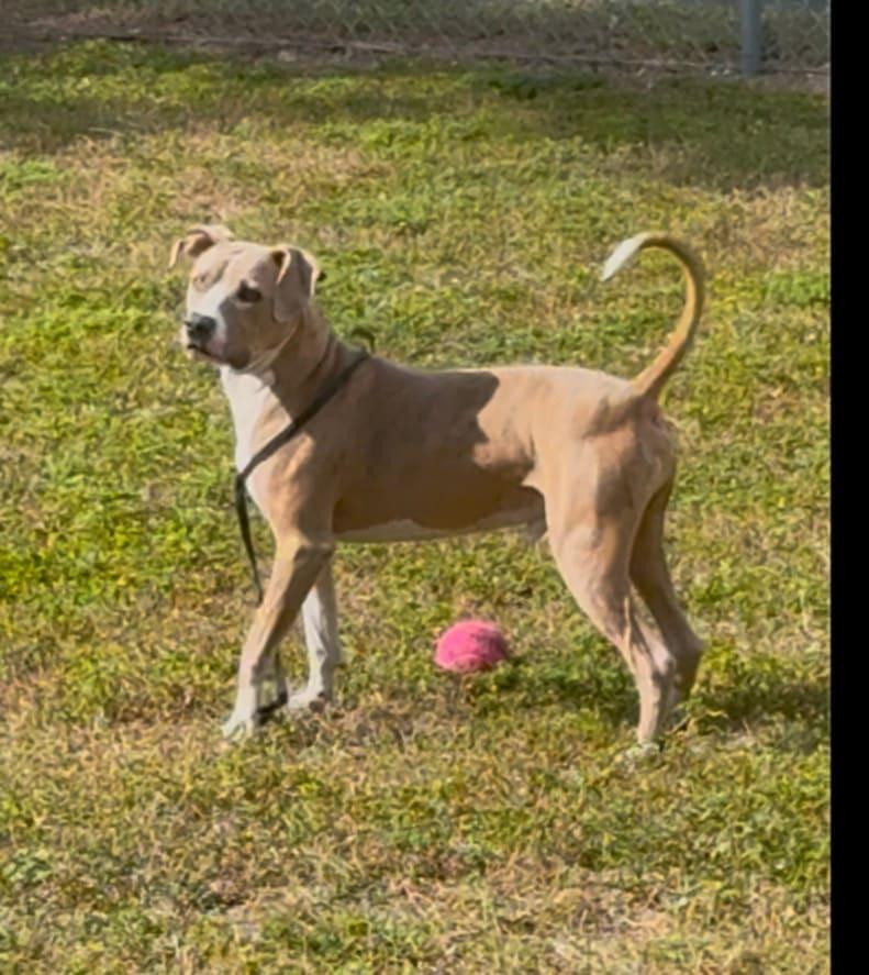Benny photo 3