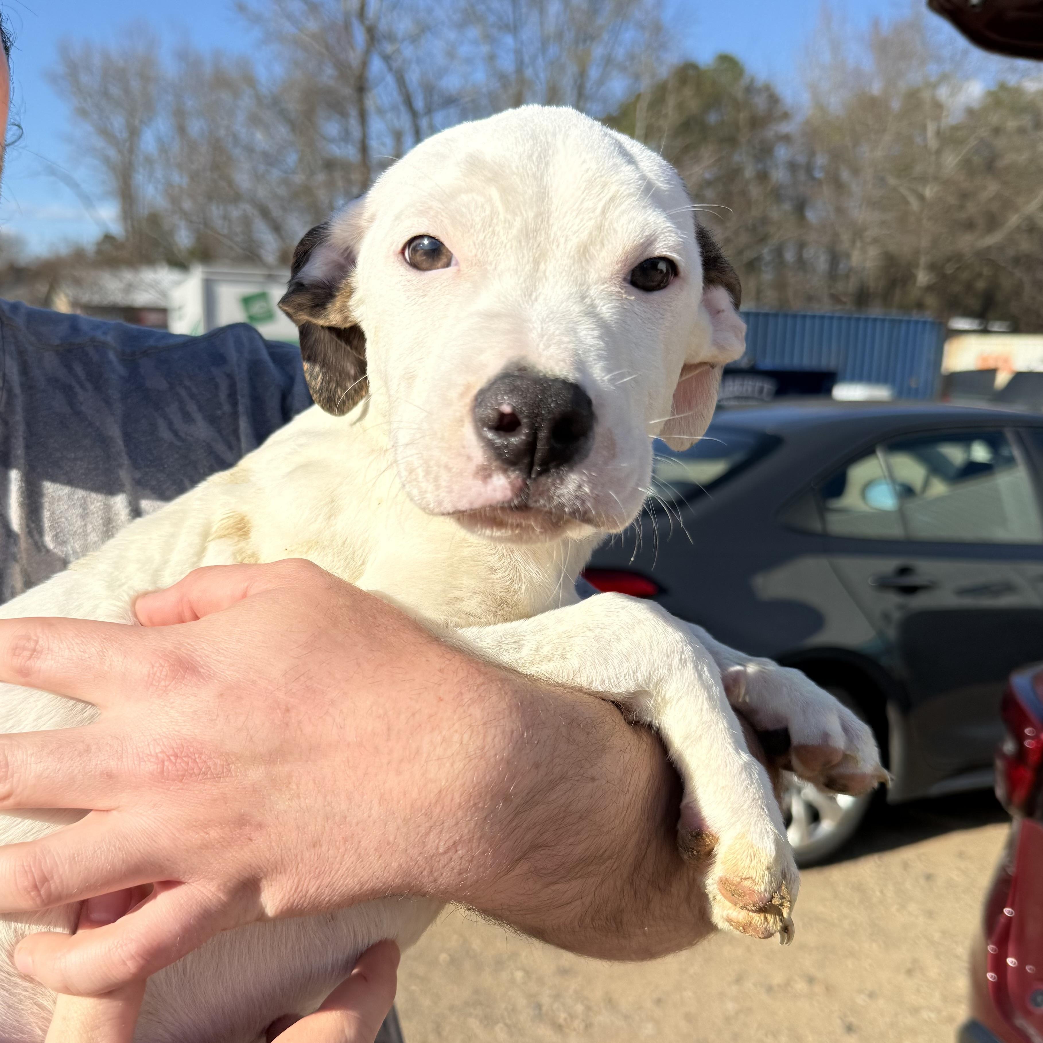 Runner's High — thumbnail 4