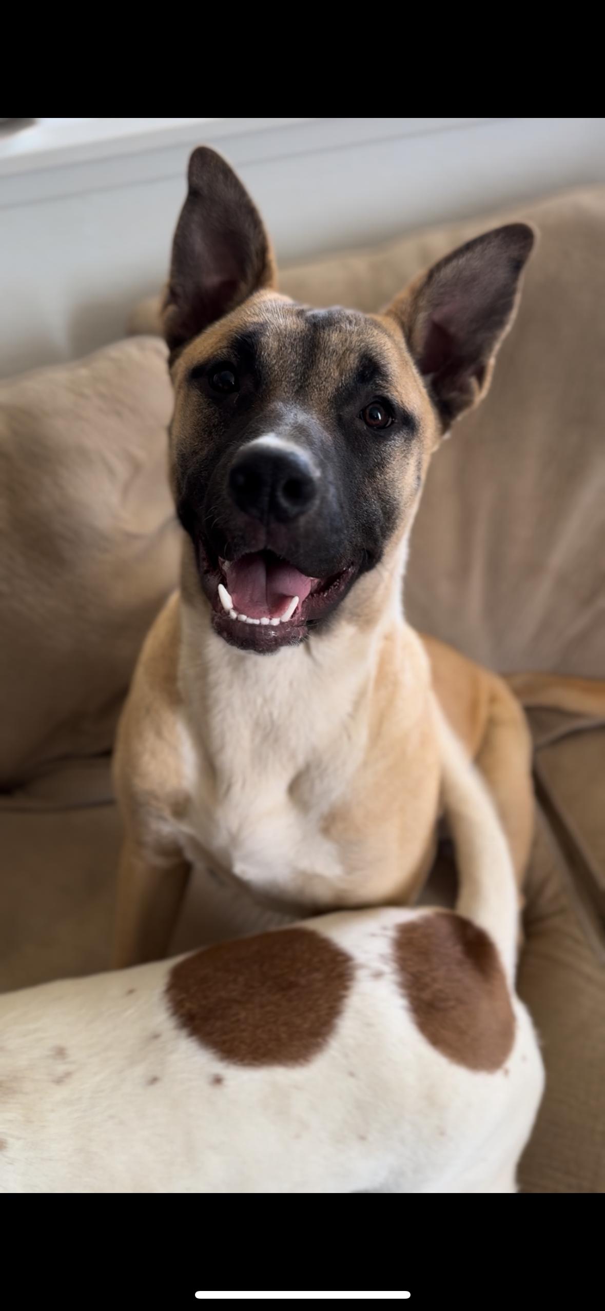 Thor